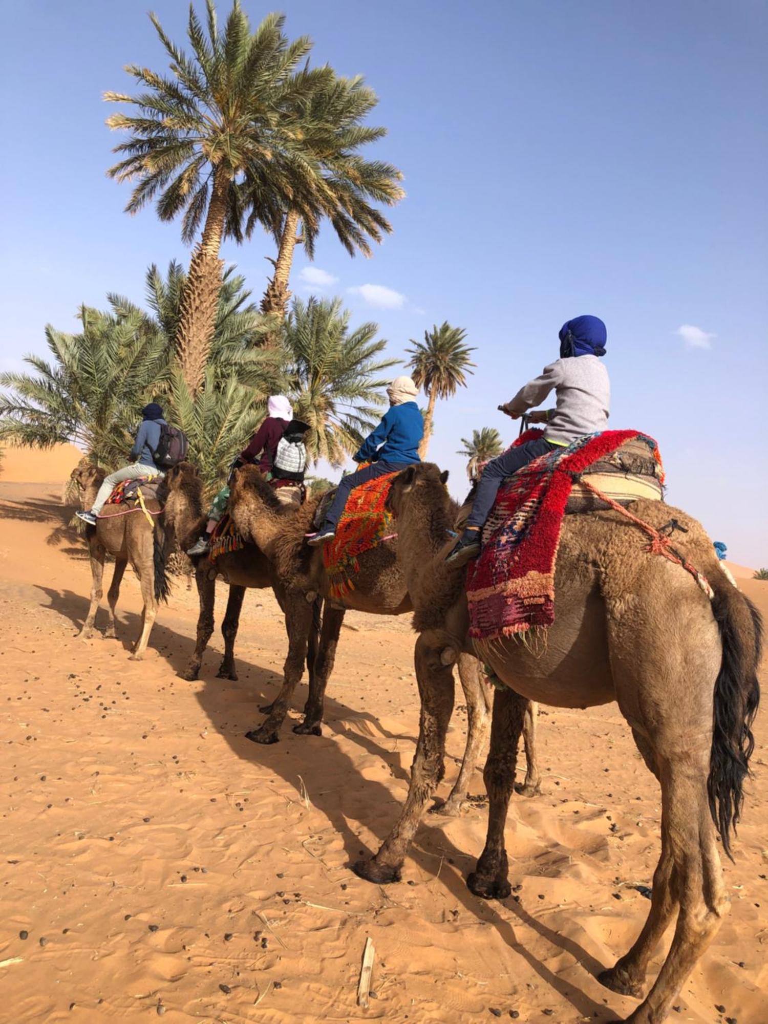 Bivouac Le Petit Prince Merzouga Dış mekan fotoğraf
