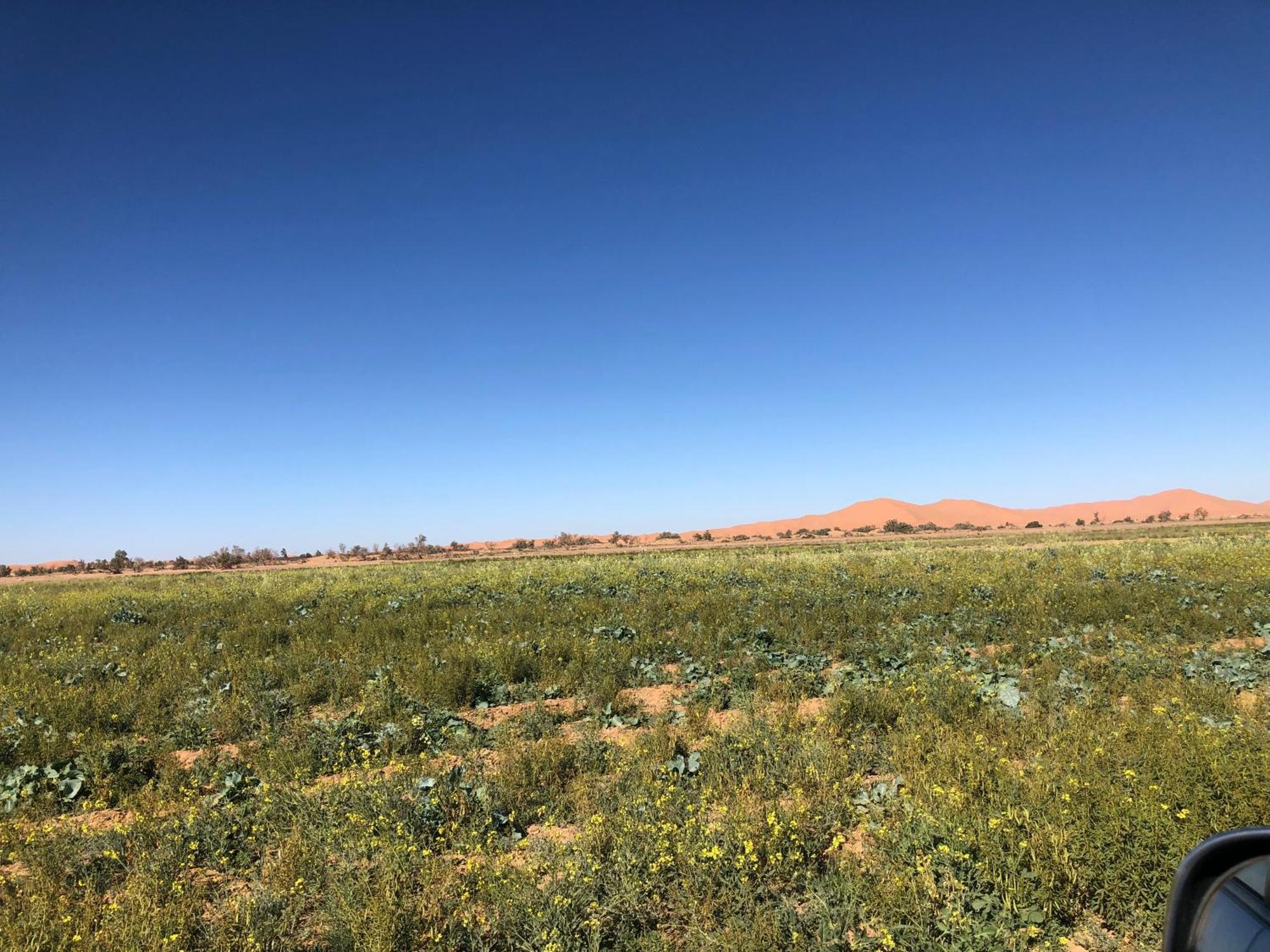 Bivouac Le Petit Prince Merzouga Dış mekan fotoğraf